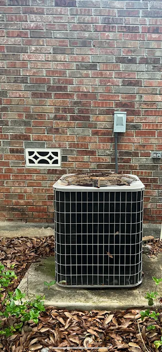 South Texas Air Picture 10