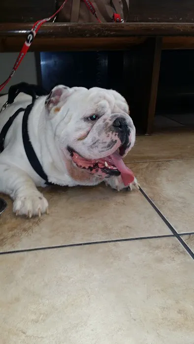 Air1st Heating & Cooling, LLC Picture 1