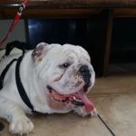 Air1st Heating & Cooling, LLC