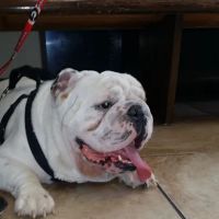 Air1st Heating & Cooling, LLC ico