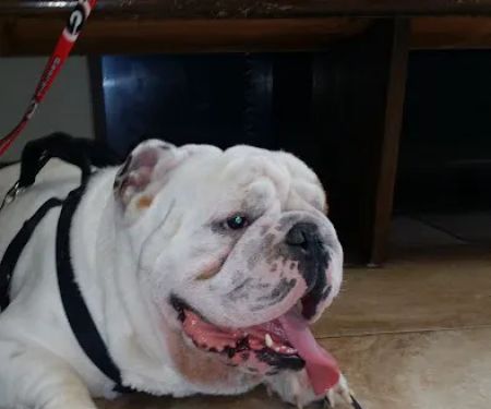 Air1st Heating & Cooling, LLC