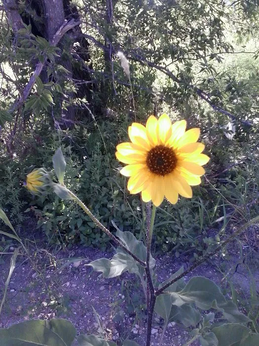 Air Conditioning & Heating By RCA Picture 6