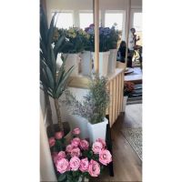 JRV Home Services ico