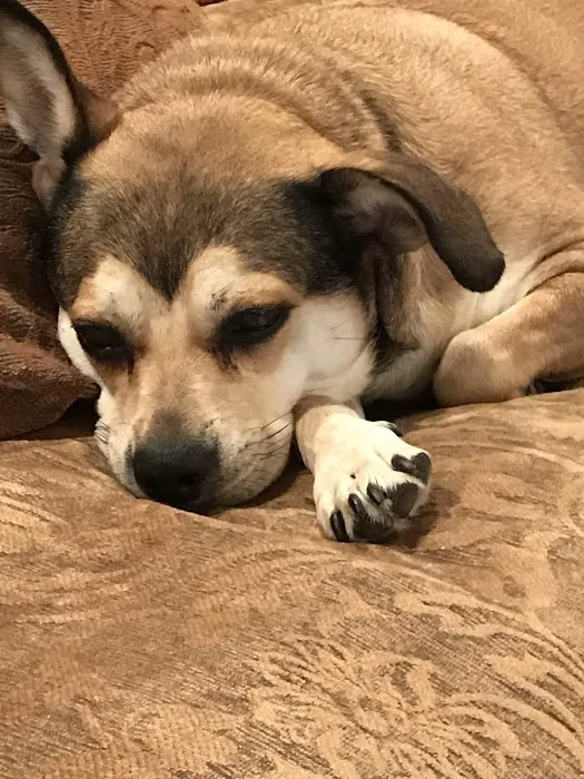 Shafer Services Plus Picture 5