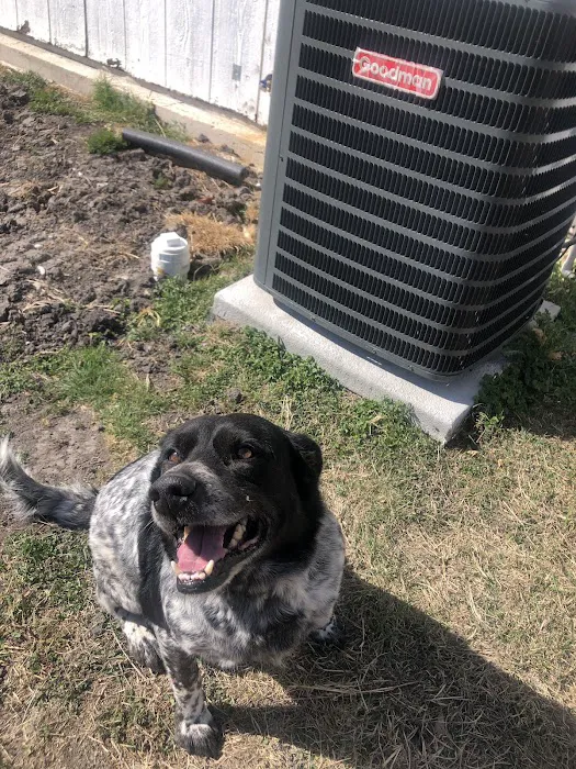 Elite Air Care Picture 1