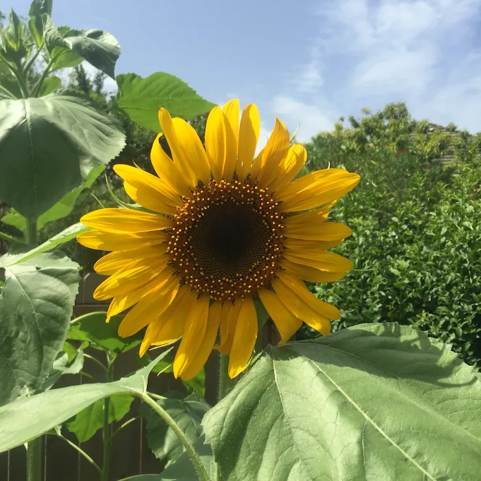 General Air Conditioning Inc. Picture 8