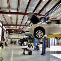 McWhorter Service Group Inc. ico