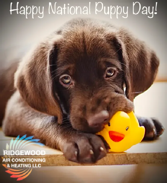 Ridgewood Air Conditioning & Heating, LLC Picture 10