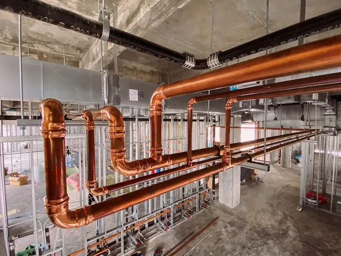 Malek, Inc. Picture 3