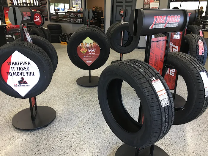 Ace Automotive Picture 10