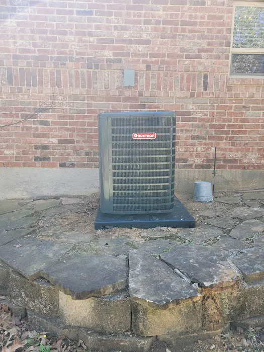 EVERYONE LOVES AIR / ELA Picture 5