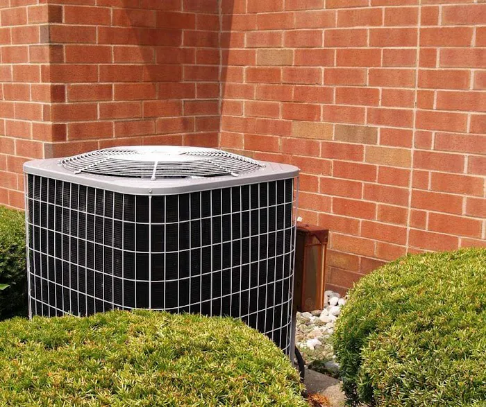 EVERYONE LOVES AIR / ELA Picture 4