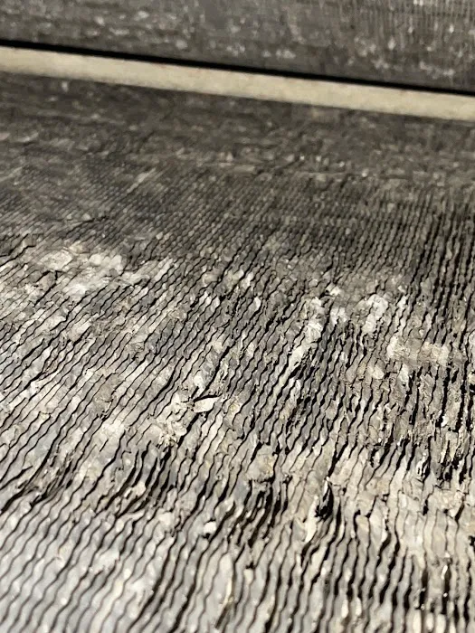 EVERYONE LOVES AIR / ELA Picture 2