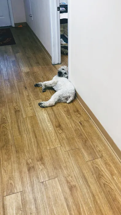 Clean Air Systems of La, Inc. Picture 9