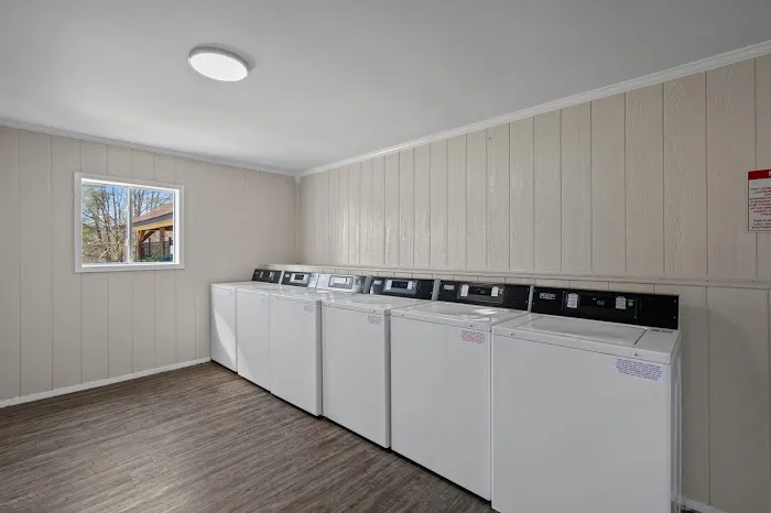 Maverick on Gilmer Picture 6