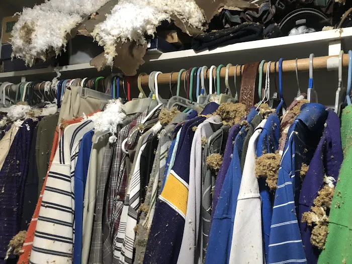 SERVPRO of South Shreveport, Bossier Picture 2