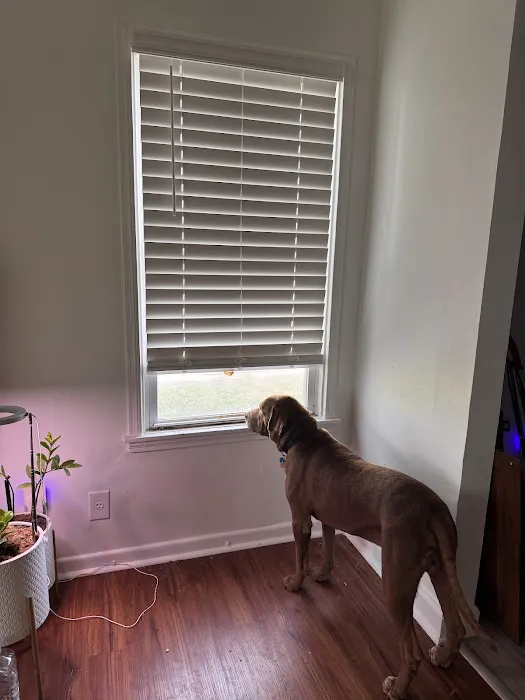 Veteran Air Picture 1