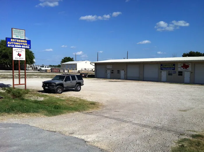 Esteemed Automotive Picture 1