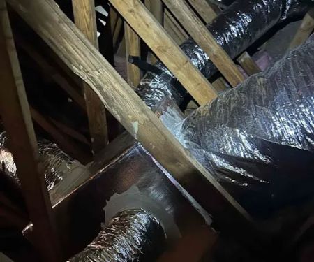 Manuel and Sons Service Co.