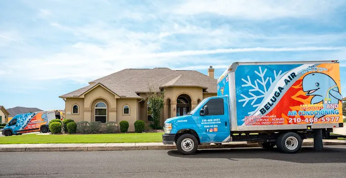 Beluga Air Picture 2