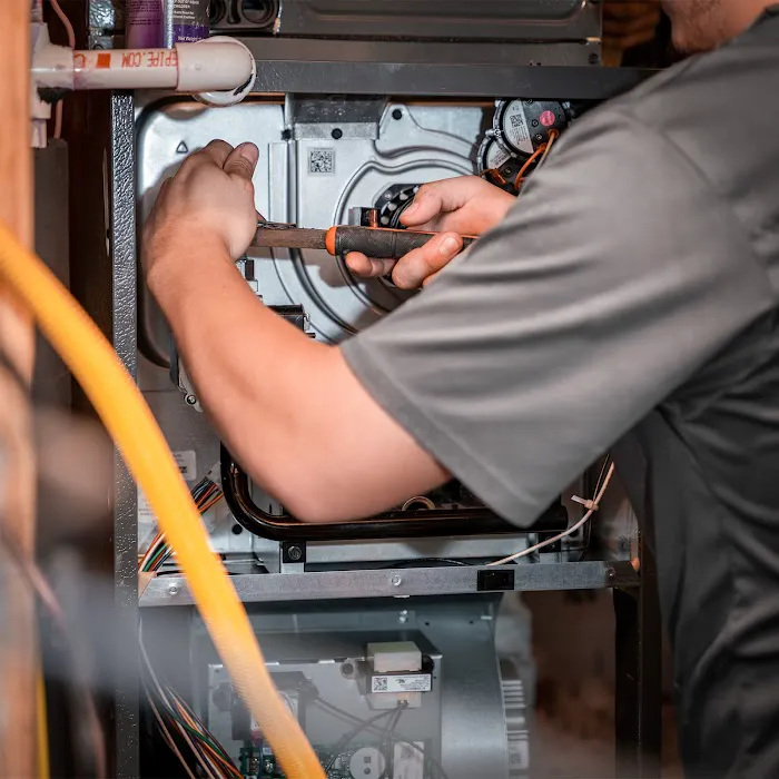 Beluga Air Picture 7