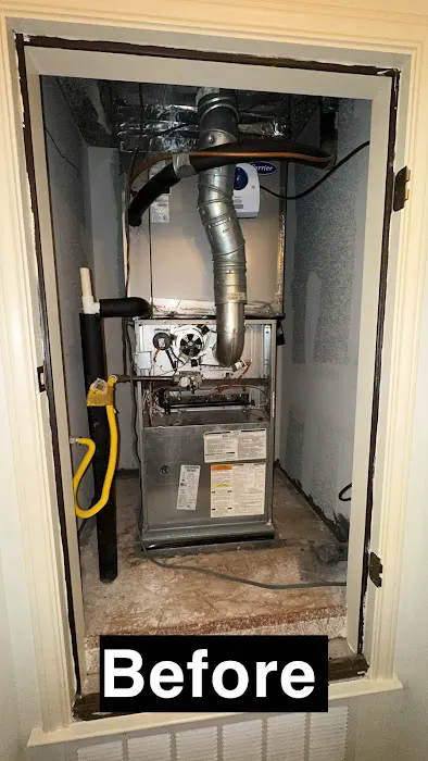 Beluga Air Picture 4