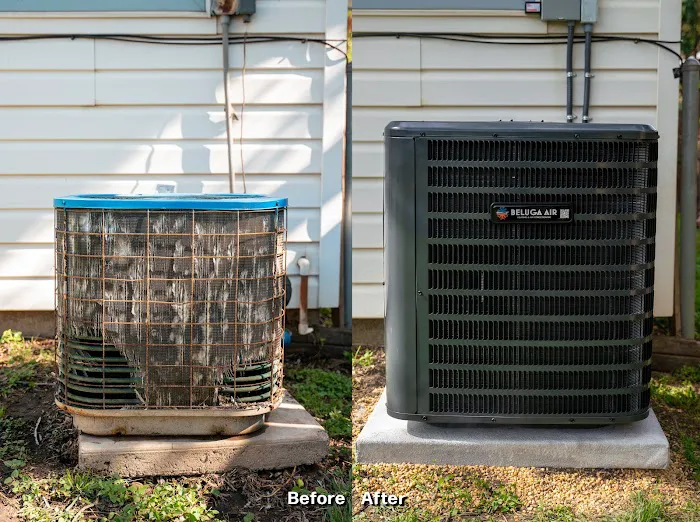 Beluga Air Picture 3