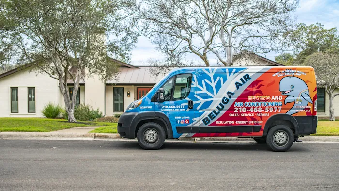 Beluga Air Picture 1