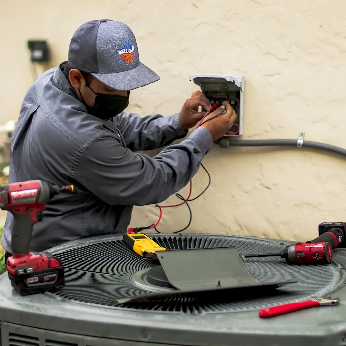 Beluga Air Picture 10