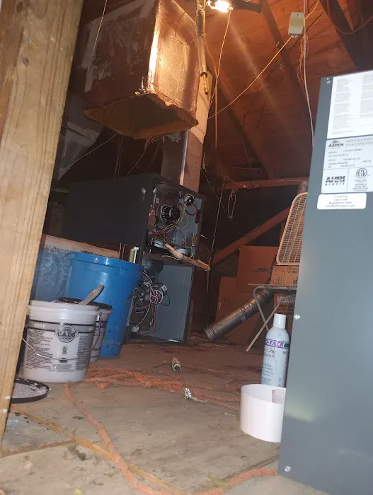 Total Ambient Solutions Picture 6