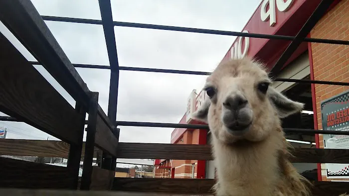 Grease Monkey Picture 5