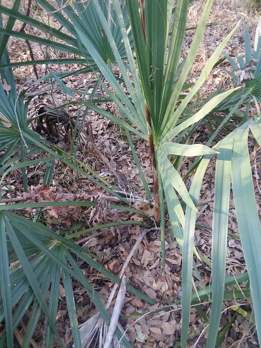 Premier Commercial HVAC Contractors Picture 1