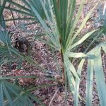 Premier Commercial HVAC Contractors