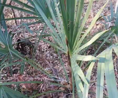 Premier Commercial HVAC Contractors