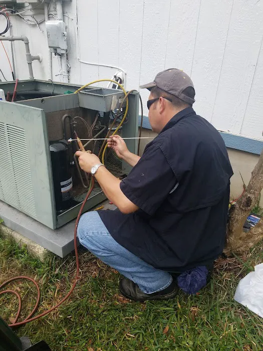 Amigos LLC. Picture 7