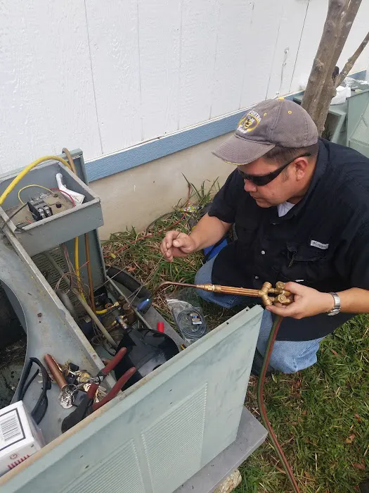 Amigos LLC. Picture 6