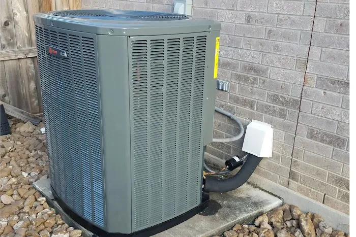 Amigos LLC. Picture 4