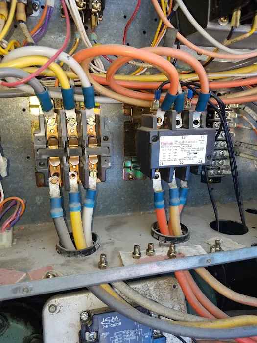 Amigos LLC. Picture 1