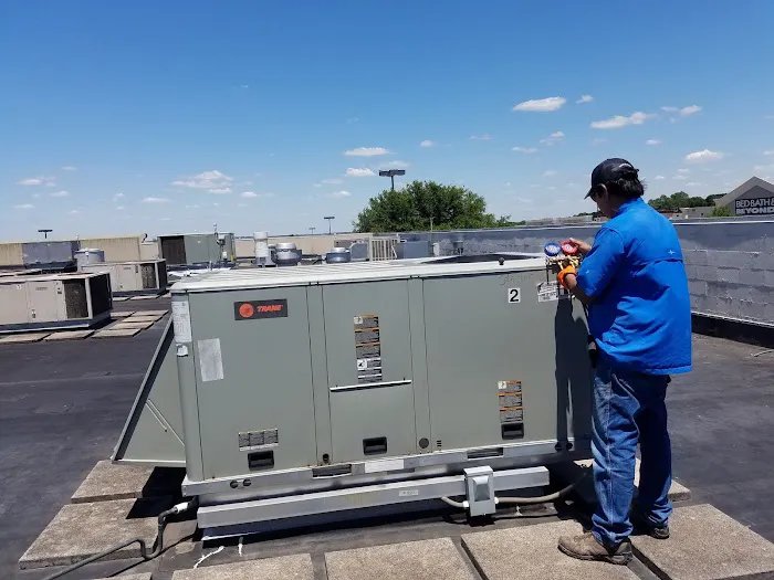 Amigos LLC. Picture 10