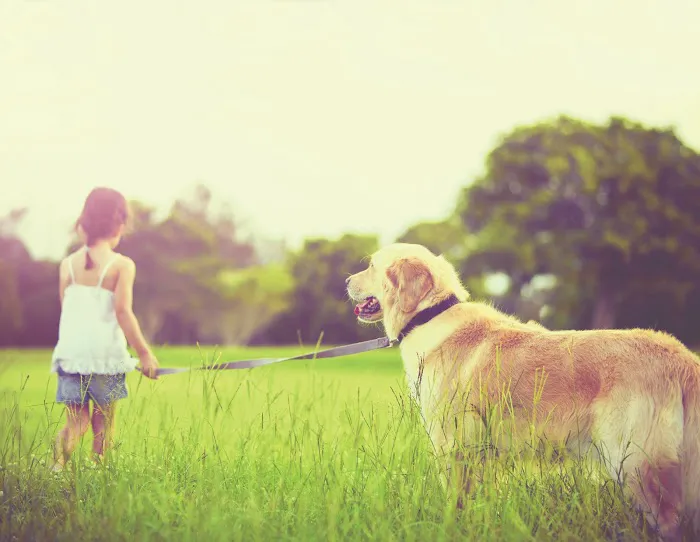 O'Daniel Air Picture 2