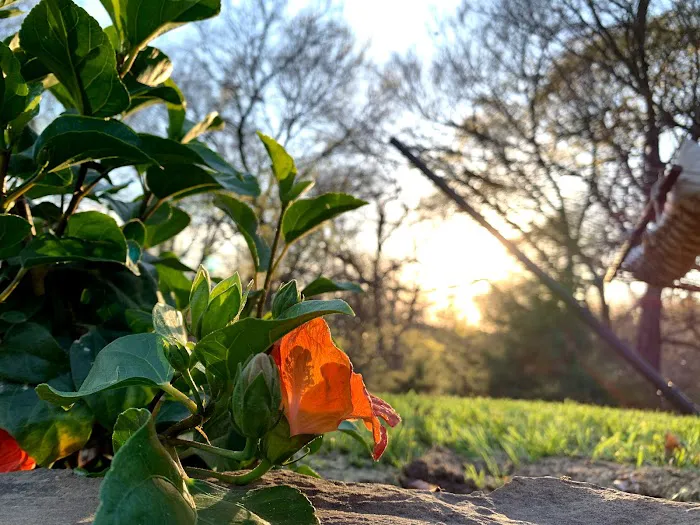 H.E.A.T. Mechanical AC And Heat Picture 7