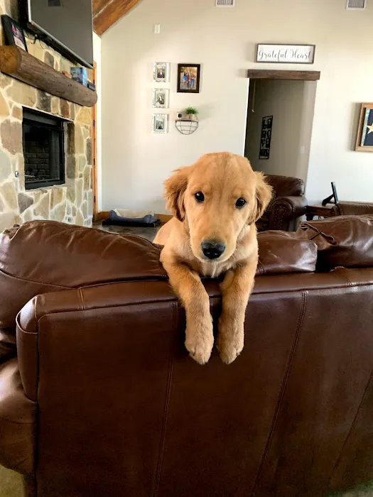 H.E.A.T. Mechanical AC And Heat Picture 8