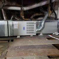 Mike Staas Services Inc ico