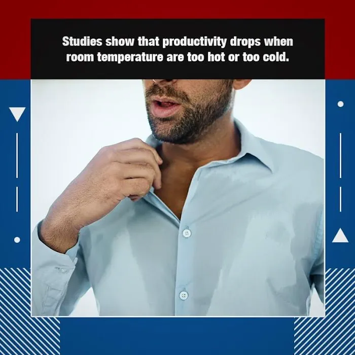 Mallard Air LLC Picture 5