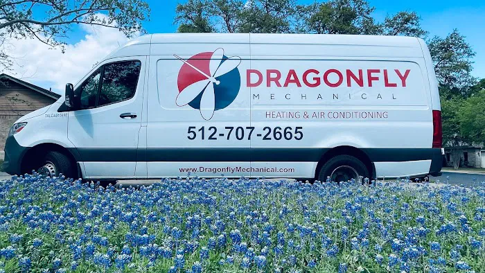 Dragonfly Mechanical Picture 2