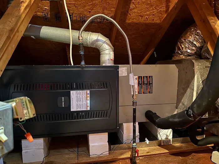 Dragonfly Mechanical Picture 1