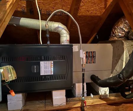 Dragonfly Mechanical