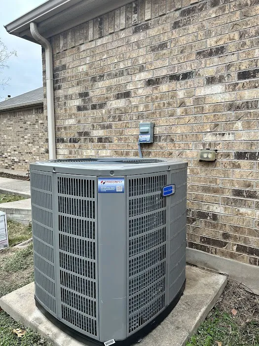 Dragonfly Mechanical Picture 3