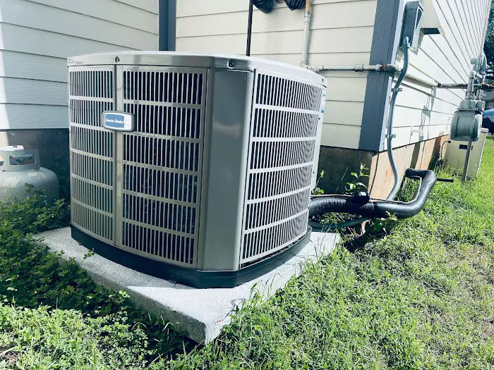 Dragonfly Mechanical Picture 4