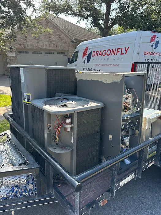 Dragonfly Mechanical Picture 9